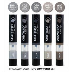 Chameleon  5 pen Gray Tones color tops set