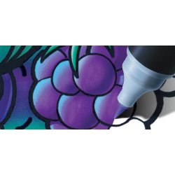 Chameleon  5 Pen Cool tones color tops set