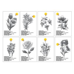 Chameleon Flowers Color Cards